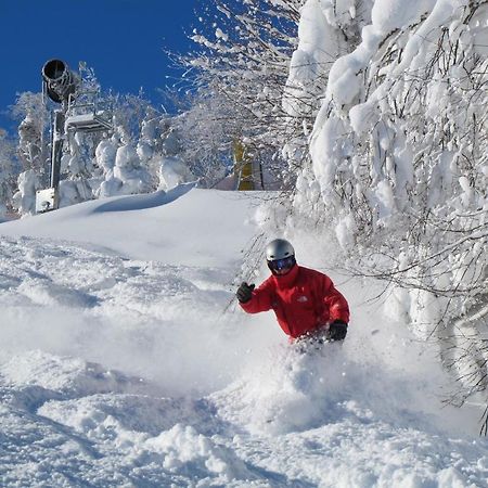Mountain Lodge Сноушу Екстер'єр фото